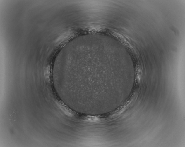 X0000112060519200908181201