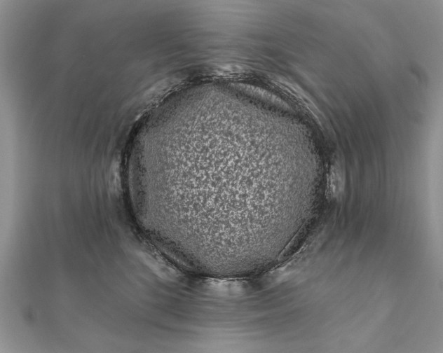 X0000112060520200908181201