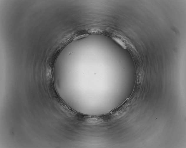 X0000112060521200908181201