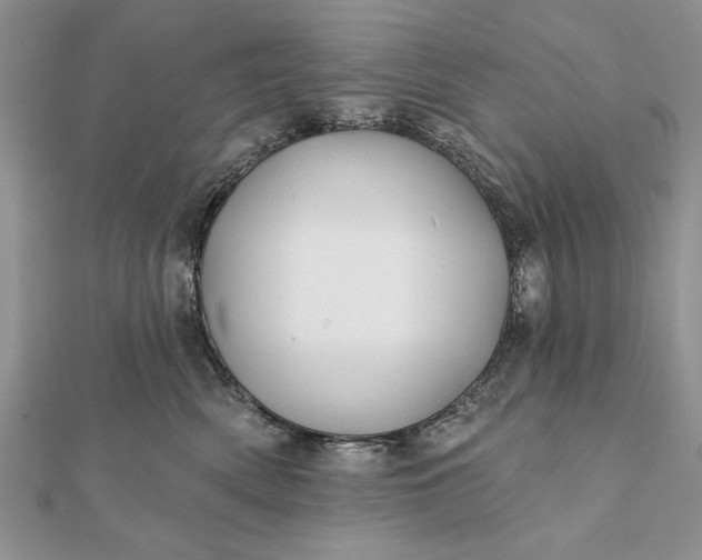 X0000112060522200908181201