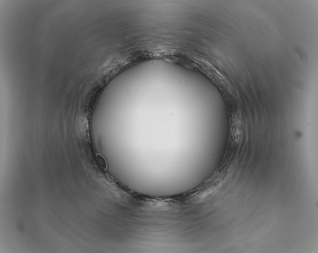 X0000112060523200908181201