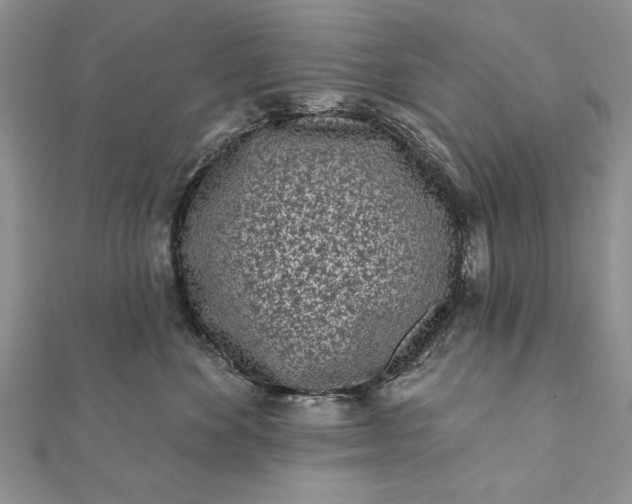 X0000112060524200908181201