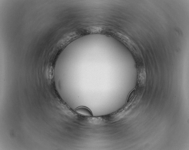 X0000112060525200908181201