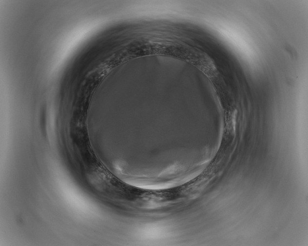 X0000112060526200908181201