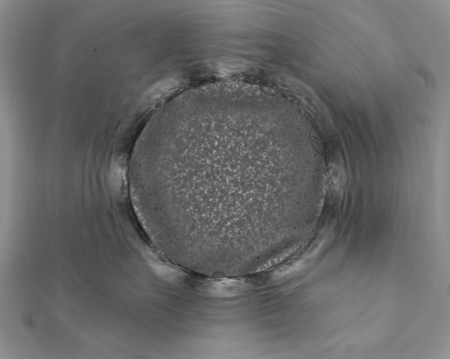 X0000112060527200908181201