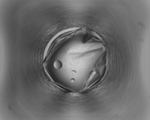 X0000112060528200908181201