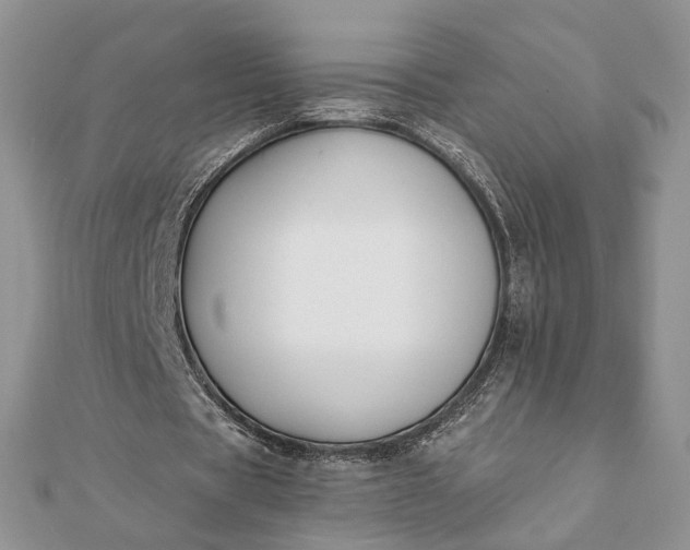 X0000112060529200908181200