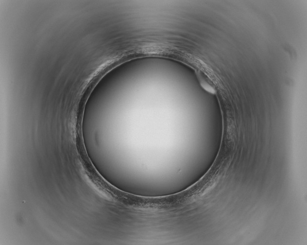 X0000112060530200908181200