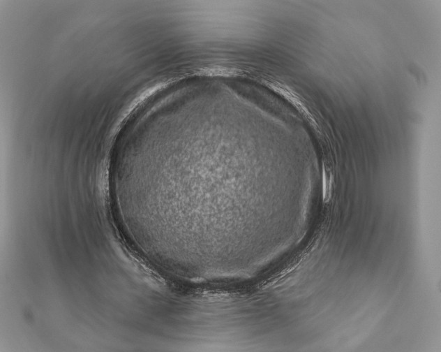 X0000112060531200908181200