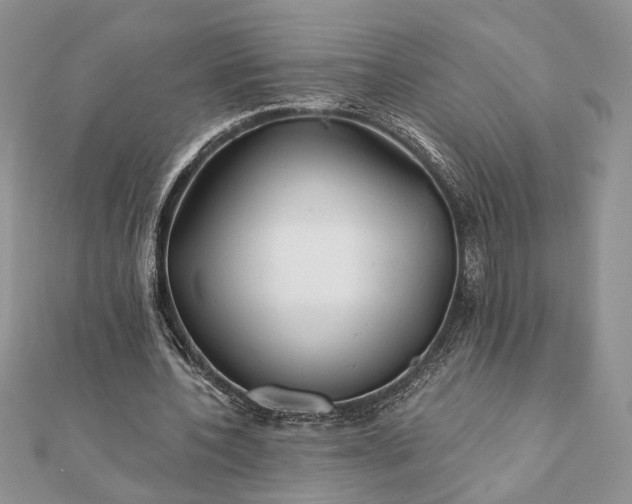 X0000112060532200908181200