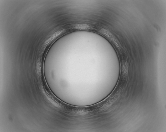 X0000112060533200908181200