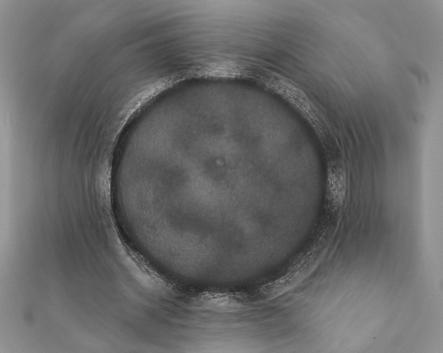 X0000112060534200908181200