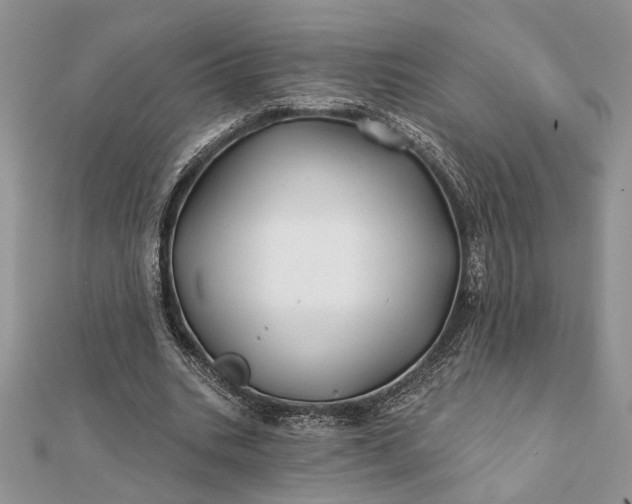 X0000112060535200908181200