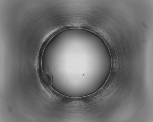 X0000112060536200908181200