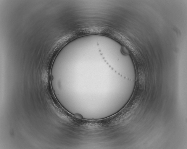 X0000112060537200908181200