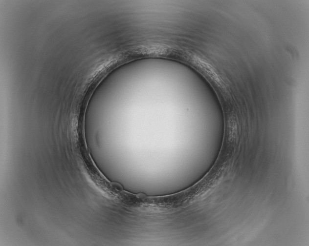 X0000112060538200908181200