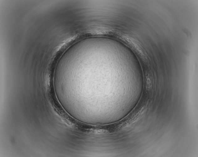 X0000112060539200908181200