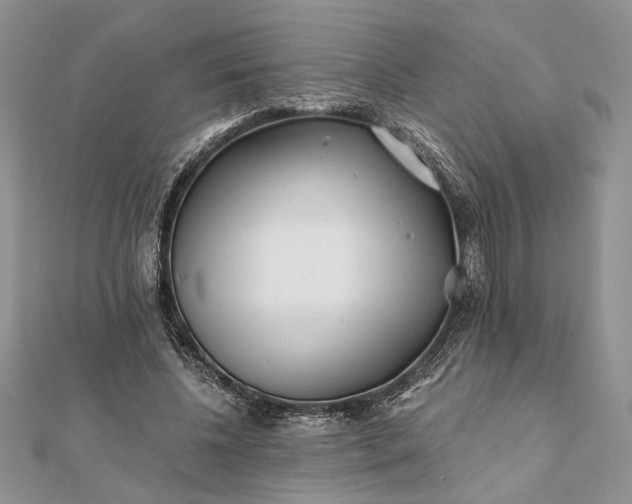 X0000112060540200908181200