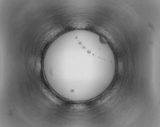 X0000112060541200908181200