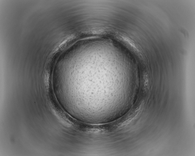 X0000112060542200908181200