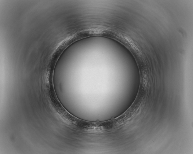 X0000112060543200908181200