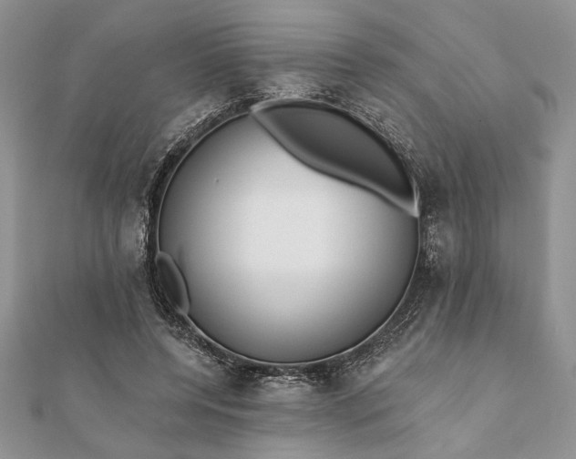 X0000112060544200908181200