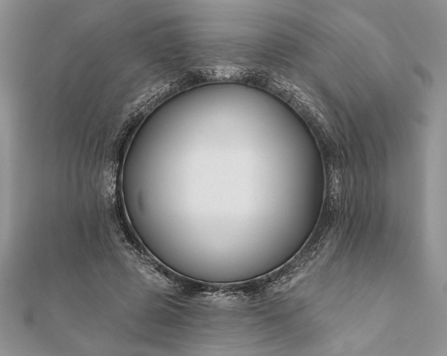 X0000112060545200908181200