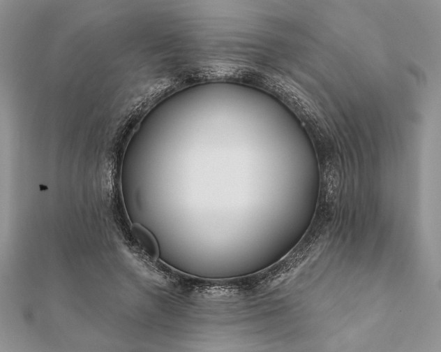 X0000112060546200908181200