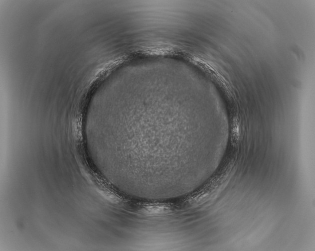 X0000112060547200908181200