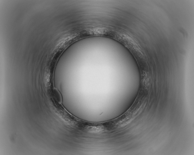 X0000112060548200908181200