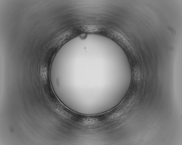 X0000112060549200908181200