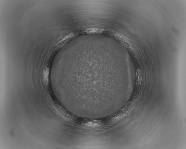 X0000112060550200908181200