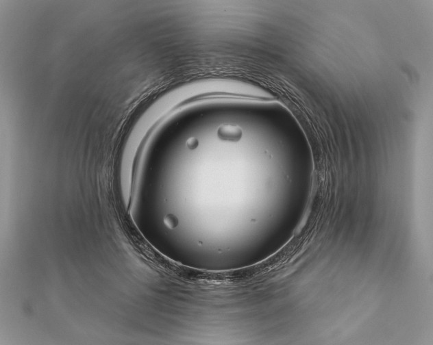 X0000112060552200908181200