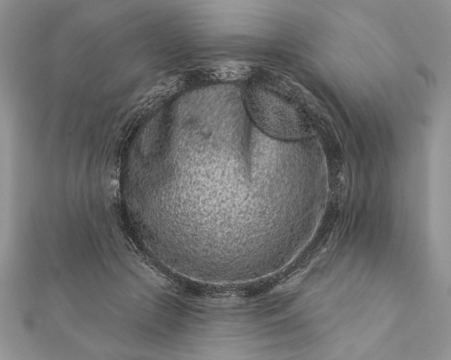 X0000112060553200908181200