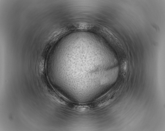 X0000112060554200908181200