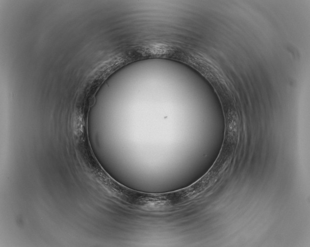 X0000112060555200908181200