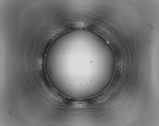 X0000112060556200908181200