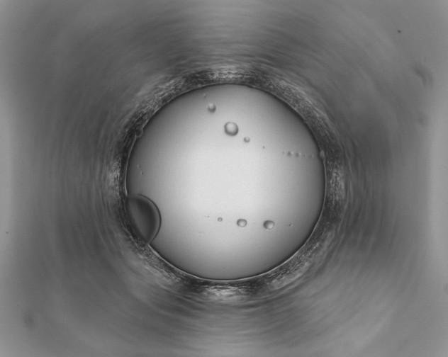 X0000112060557200908181200