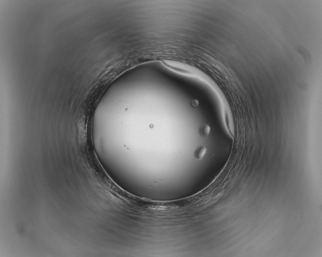 X0000112060558200908181200