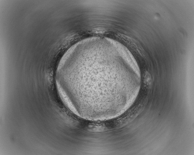 X0000112060559200908181200