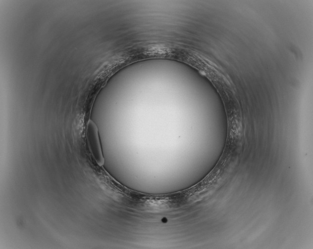 X0000112060560200908181200