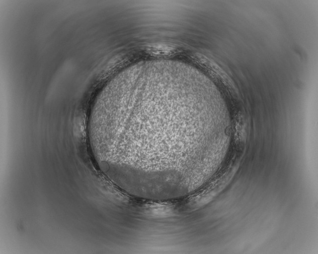 X0000112060561200908181200