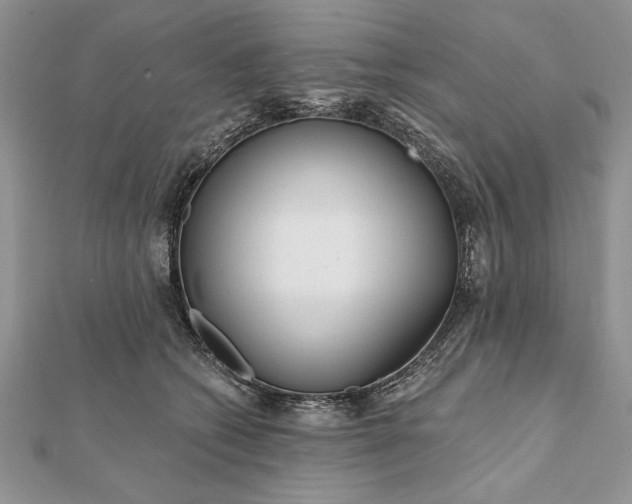 X0000112060562200908181200