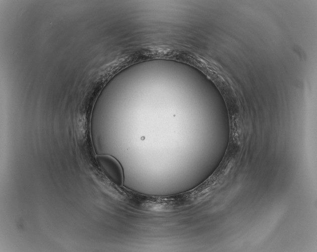 X0000112060563200908181200