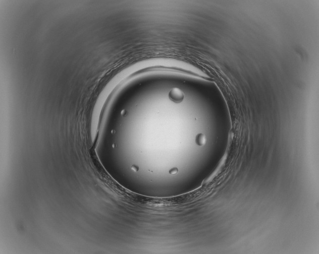 X0000112060564200908181200