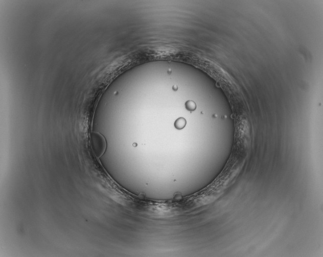 X0000112060565200908181200