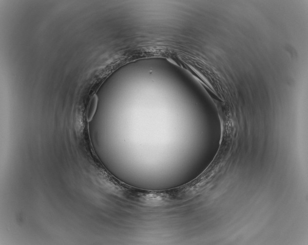 X0000112060566200908181200