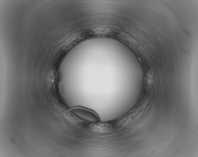 X0000112060567200908181200