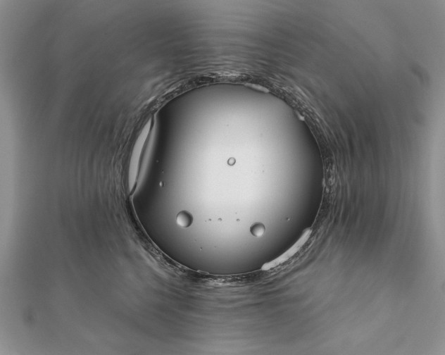 X0000112060568200908181200