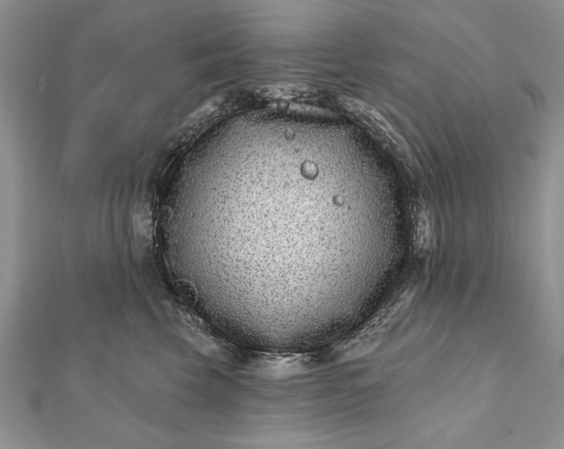 X0000112060569200908181200